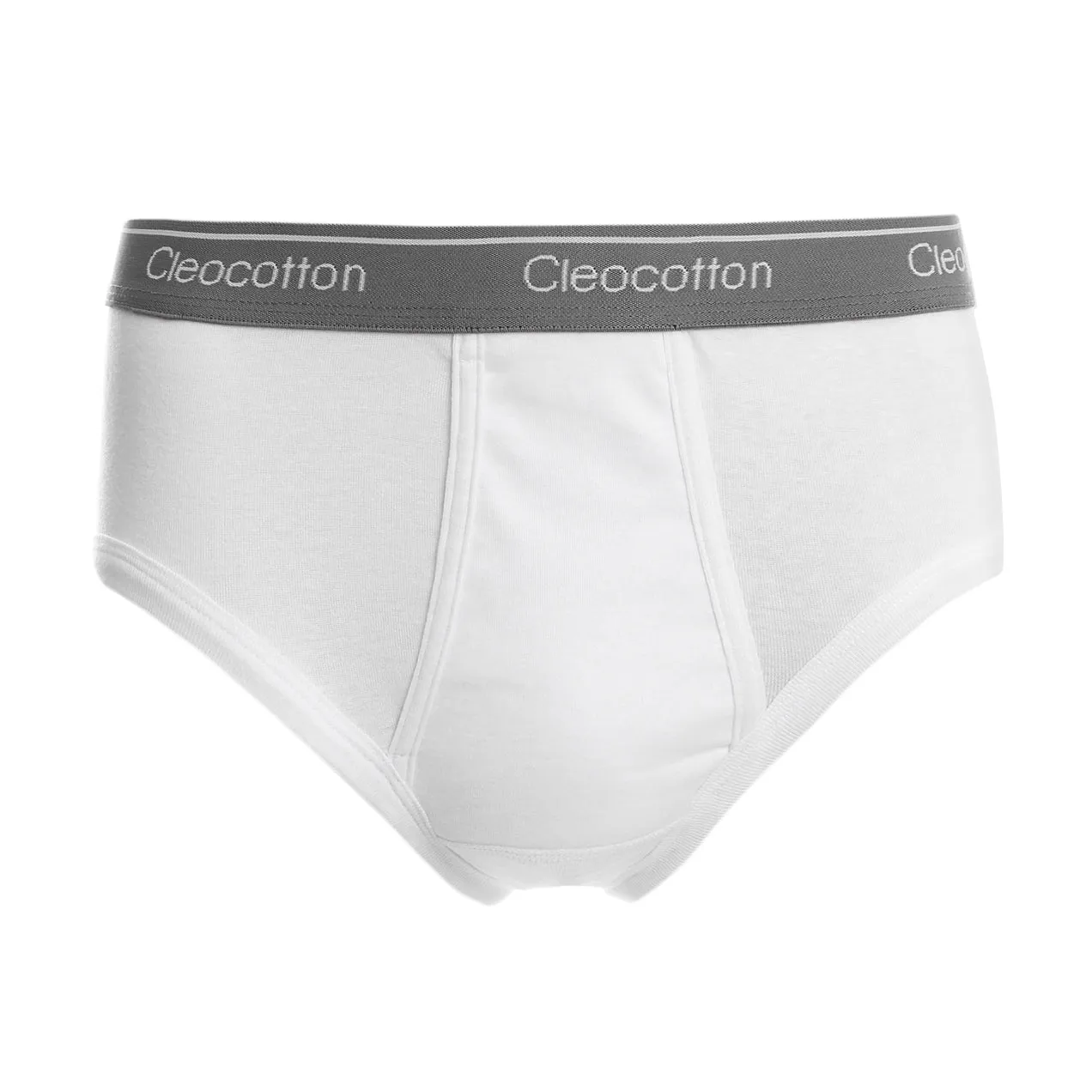 ASSORTED CLEOCOTTON PREMIUM COTTON RICH SLIP BRIEF - 4 PK