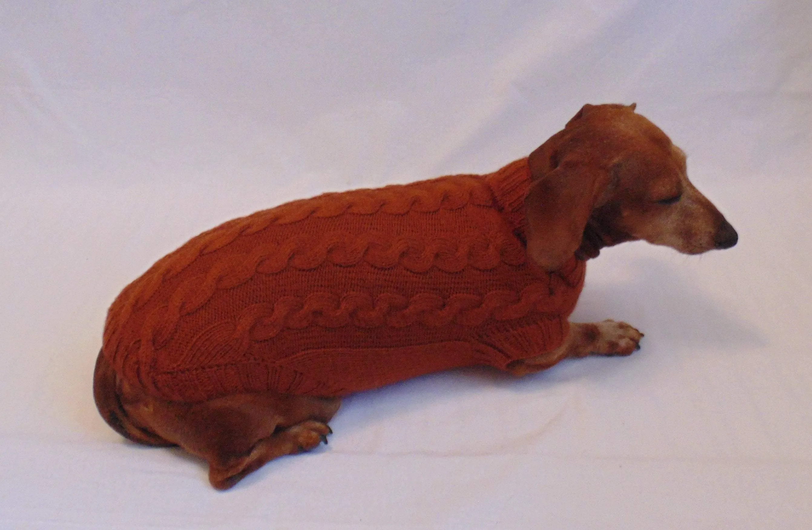 Brown knitted sweater for dachshund dog