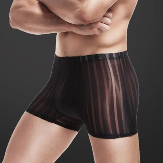 See-Through Striped Polyester Spandex Boxer Shorts