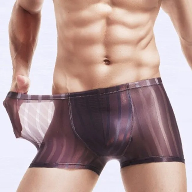 See-Through Striped Polyester Spandex Boxer Shorts