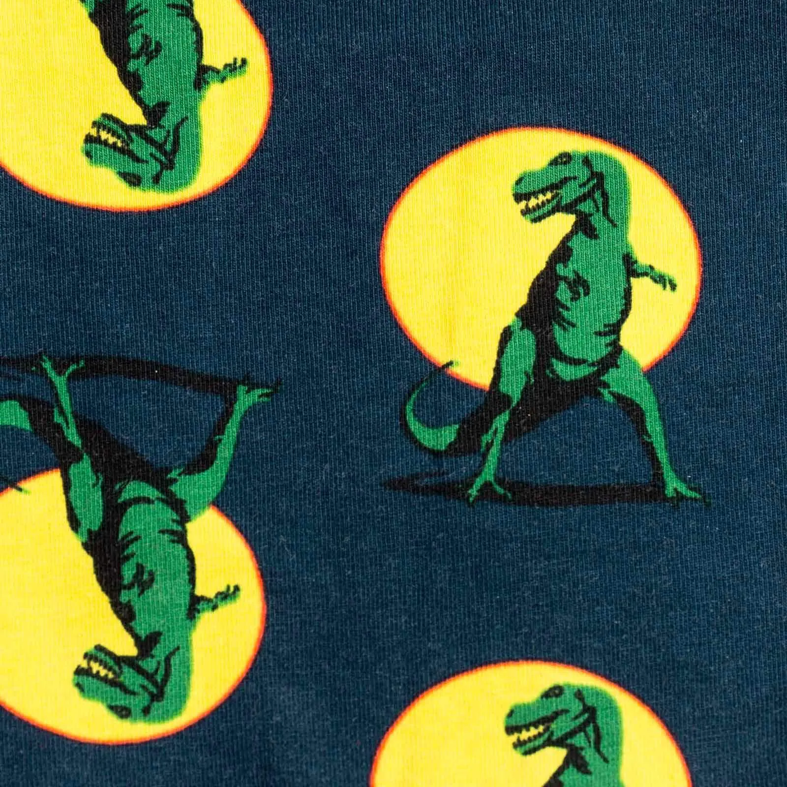 Sock it to me T-Rex Mens Boxers